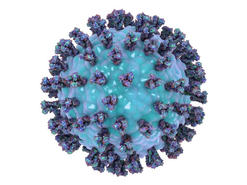 Exame de RT-PCR para Detecção Molecular de Parainfluenza Humano (Tipos 1, 2, 3 e 4)