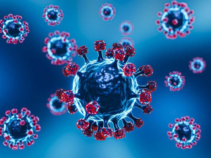 Teste de COVID-19 por RT-PCR: Detecção Molecular Precisa