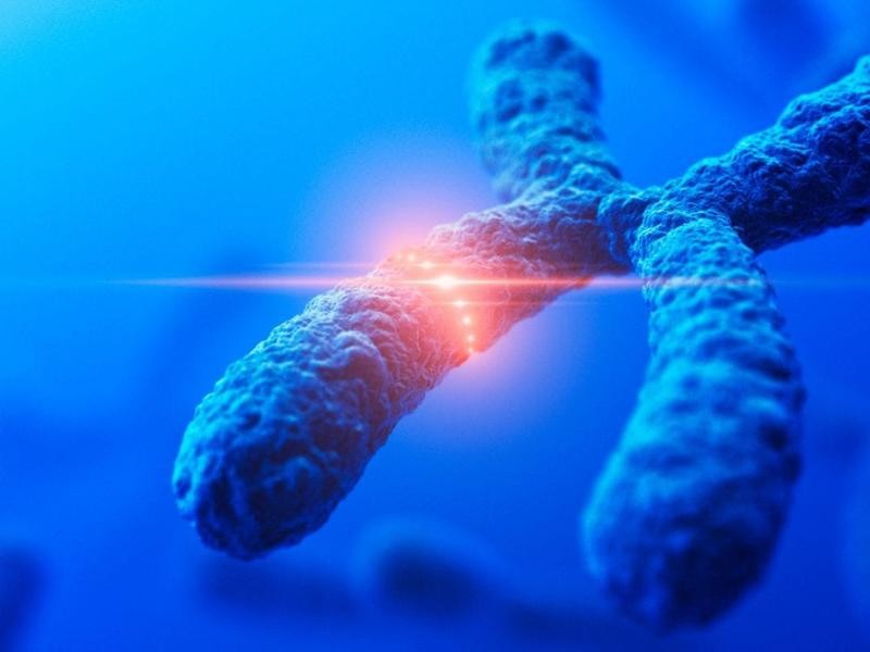 Diagnóstico Molecular da Síndrome do X Frágil: Teste Genético para Detecção Precisa